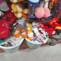 ۹۰مورد انواع عروسک تک سایز در اندازه های مختلف|اسباببازی|اردبیل, |دیوار