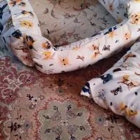 جای خواب پت