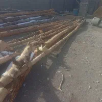 پل چوبی|حراج|تایباد, |دیوار