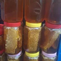 عسل به شرط و تضمینی