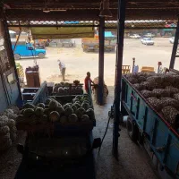 کارگر میدان بار