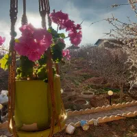 استخدام مربی مهد کودک