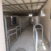 فروش گاوداری شیری صنعتی ۴۰۰۰ متری|فروش دفتر صنعتی، کشاورزی، تجاری|شیراز, کوشک بیدک|دیوار