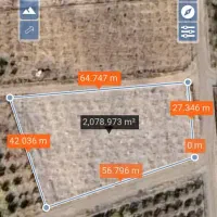 باغ پسته ۴ ساله