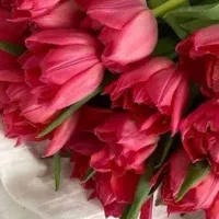 نیروی نظافت و خدمات