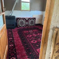 اجاره کلبه درختی و سوییت کاهگلی|اجارهٔ کوتاه‌مدت ویلا و باغ|کیاسر, |دیوار