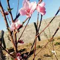 زمین دشت انقلاب 360متر