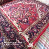 فرش دستباف هریس تاجری ۶متری