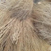 هفت بسته جارو