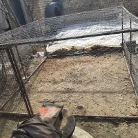 فروش قفس مرغ و خروس