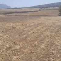 فروش زمین رباط نمکی مناسب ویلاباغ و گلخانه و غیره|فروش زمین و ملک کلنگی|خرم‌آباد, |دیوار