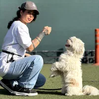 مربی سگ (خانم)|خدمات آموزشی|تهران, جردن|دیوار