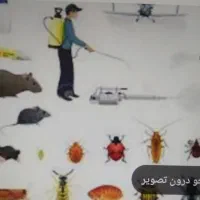 سمپاشی نظافت جابجایی اسباب