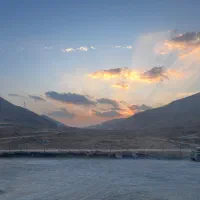 تعدادی کارگر