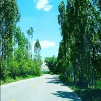 580 متر زمین مسکونی/جواز/سله بن/سد نمرود/فیروزکوه|فروش زمین و ملک کلنگی|ارجمند, |دیوار