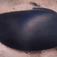 چراغ عقب ۲۰۶ سری جدید با کاور|قطعات یدکی و لوازم جانبی|تهران, سنائی|دیوار