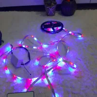 ریسه هوشمند سقف ابری|ریسه و چراغ تزئینی|مشهد, الهیه|دیوار