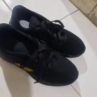 کتون.|کیف، کفش، کمربند|اراک, |دیوار