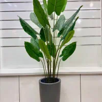 درختچه مصنوعی|گل مصنوعی|صفادشت, |دیوار