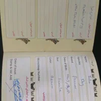 سگ پامر اشپیتز|سگ|جیرفت, |دیوار