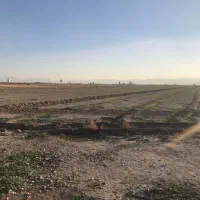 زمین کشاورزی|فروش دفتر صنعتی، کشاورزی، تجاری|مرودشت, محمد آباد|دیوار