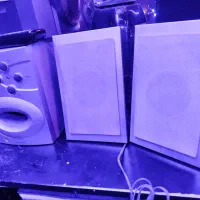 اسپیکر پاسکال همراه دوتا باند