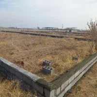 فروش باغچه مامونیه