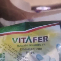 فروش و کاشت  درختان گرمسیری، گل ،گیاه ،سم وکود|خدمات باغبانی و درختکاری|بندرلنگه, |دیوار