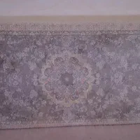 دو حفت پشتی نو
