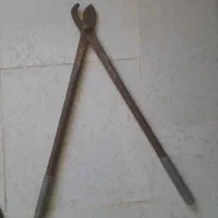 قیچی درخت بر