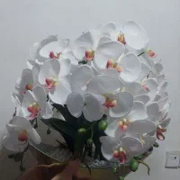 گل ارکیده ۸ شاخه به همراه گلدان