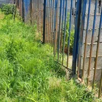 سگ .اسب آگهی بخونید