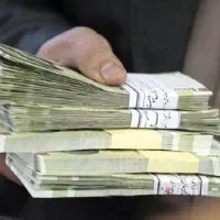 نیازمند سرمایه گذار