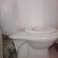 توالت فرنگی