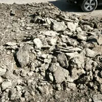 کود گوسفندی|خدمات باغبانی و درختکاری|اصفهان, خاتونآباد|دیوار