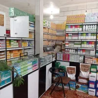 منشی خانم