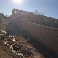 زمین شام اسبی