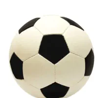 تفریحی  ورزشی