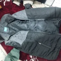 کاپشن و هودی اورجینال|لباس|رودسر, |دیوار