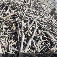 کنده و قلمه پسته