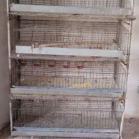 قفس بلدرچین