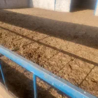 فروش کود گاوی
