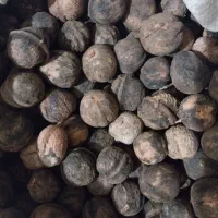 گردو کاغذی
