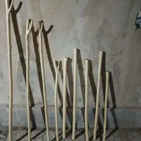 انواع چوب