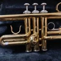 ترومپت شاتو اصل تایوان|سازهای بادی|تبریز, |دیوار