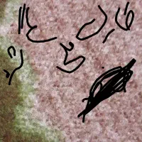 کارت ملیکارت