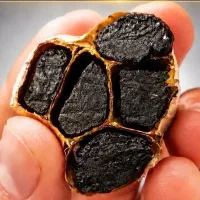 سیر سیاه|خوردنی و آشامیدنی|تهران, گاندی|دیوار