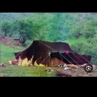 سیاه چادر