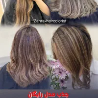 مدل رایگان رنگ و لایت