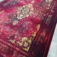 فقط با یک عدد چک در گالری فرش نگین زاگرس خرید کنید